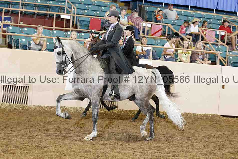 Proof 12yn_05586