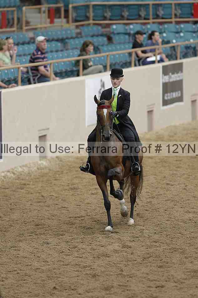 Proof 12yn_05588