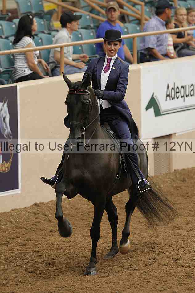 Proof 12yn_05590