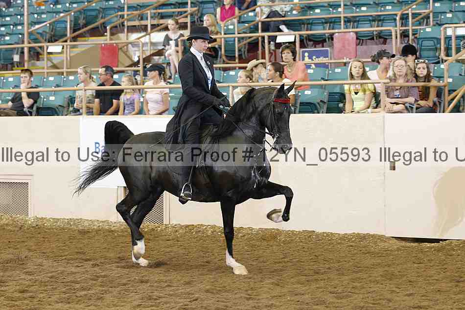 Proof 12yn_05593