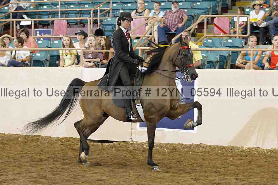 Proof 12yn_05594