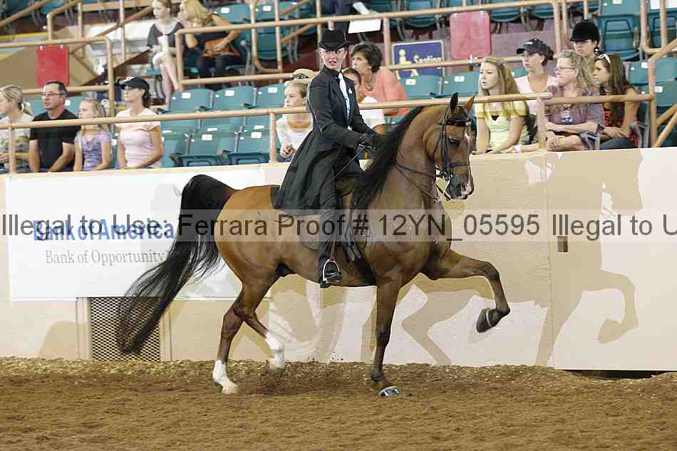 Proof 12yn_05595