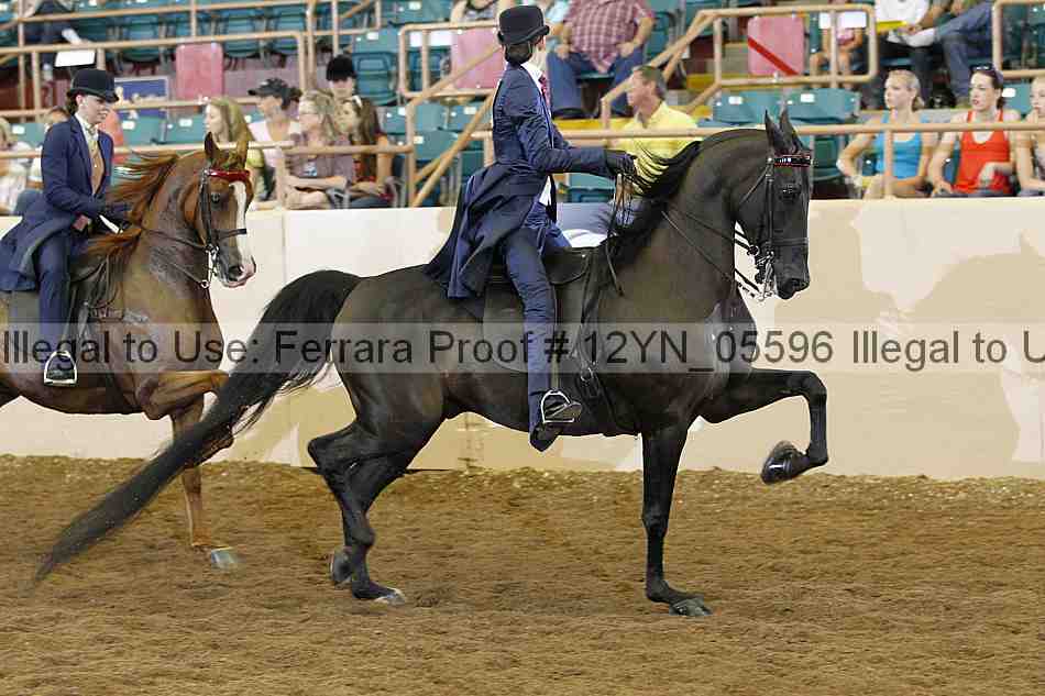 Proof 12yn_05596