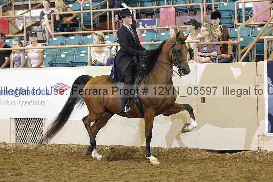 Proof 12yn_05597