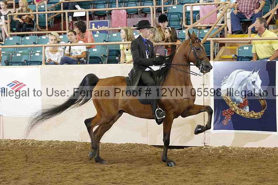 Proof 12yn_05598