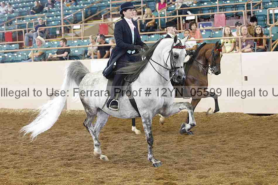 Proof 12yn_05599