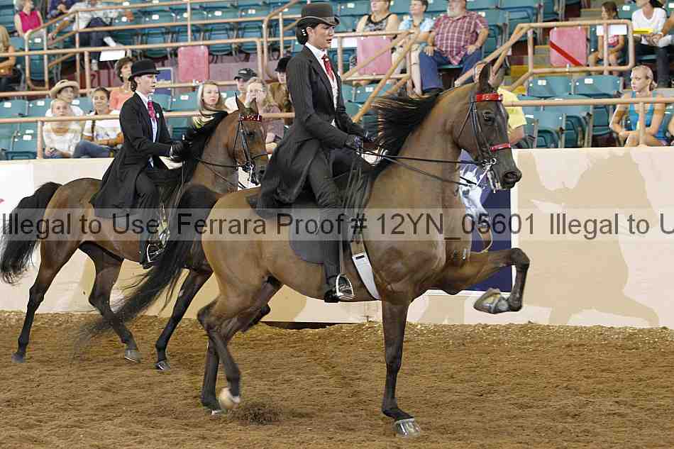 Proof 12yn_05601