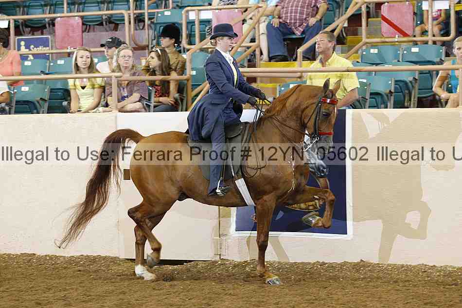 Proof 12yn_05602