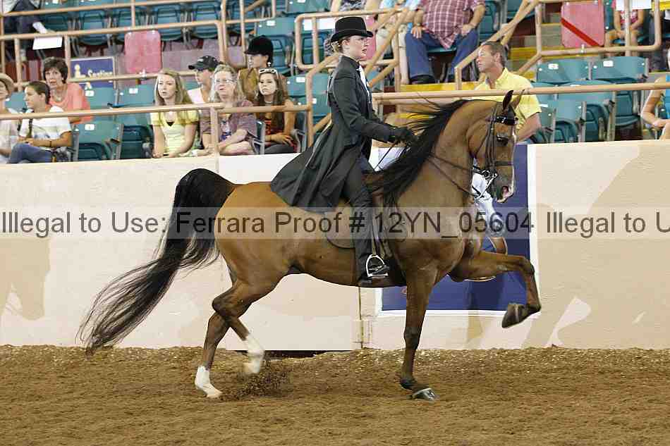 Proof 12yn_05604