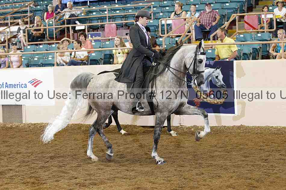 Proof 12yn_05605