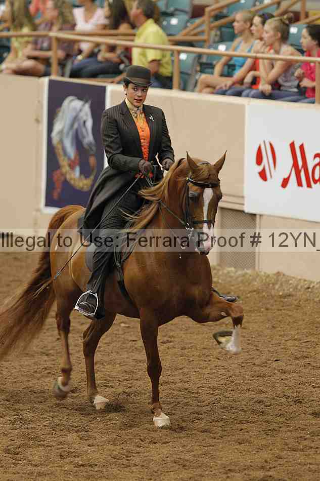 Proof 12yn_05606
