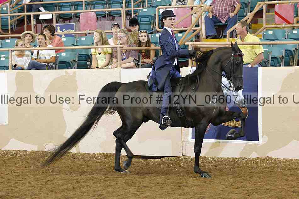 Proof 12yn_05607