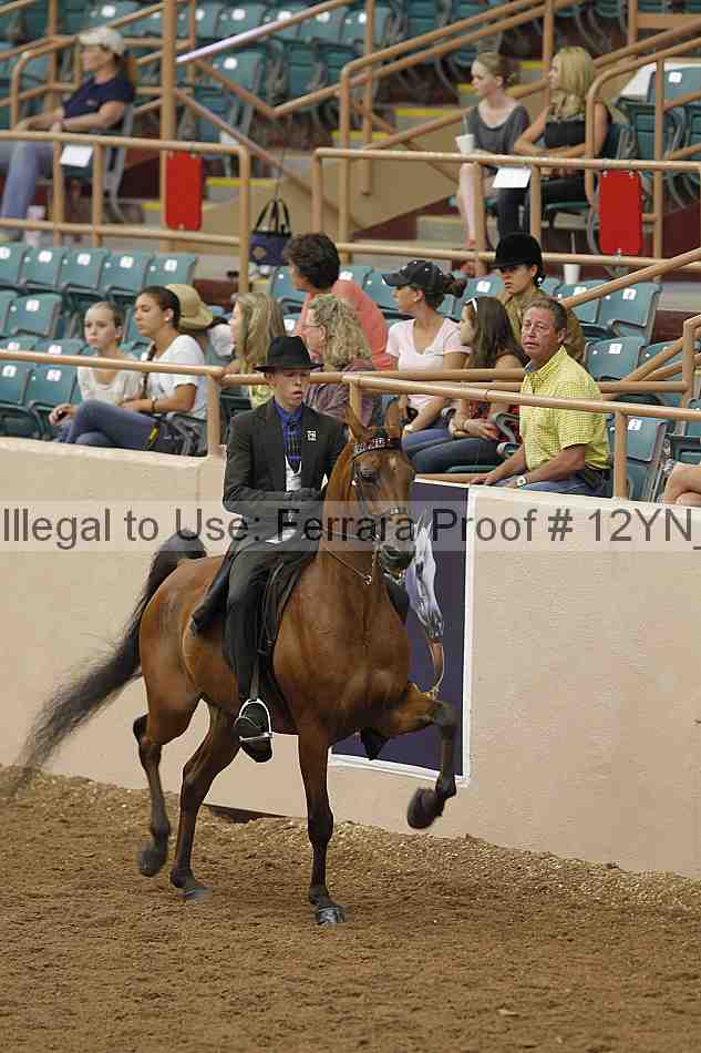 Proof 12yn_05608