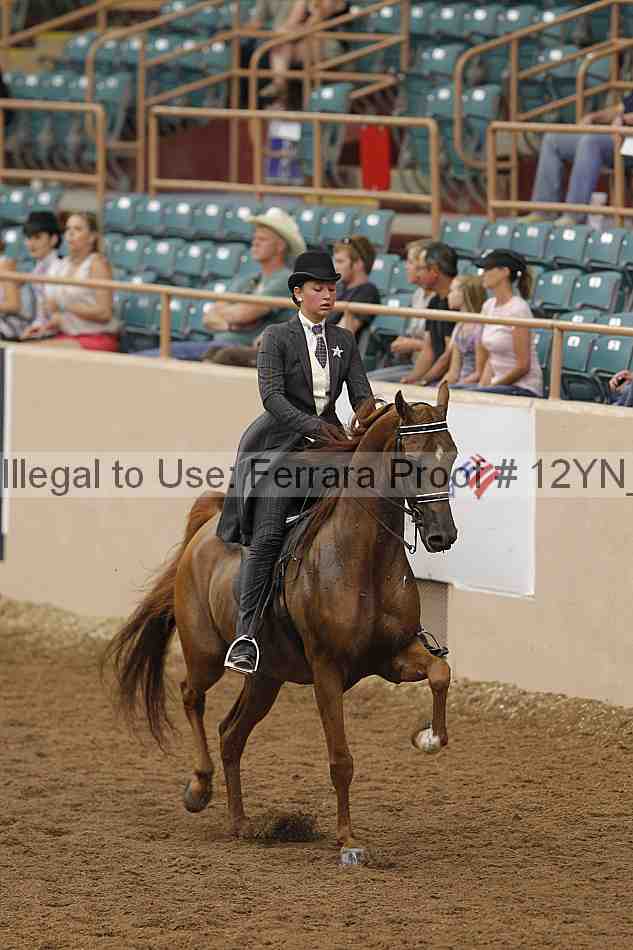 Proof 12yn_05609