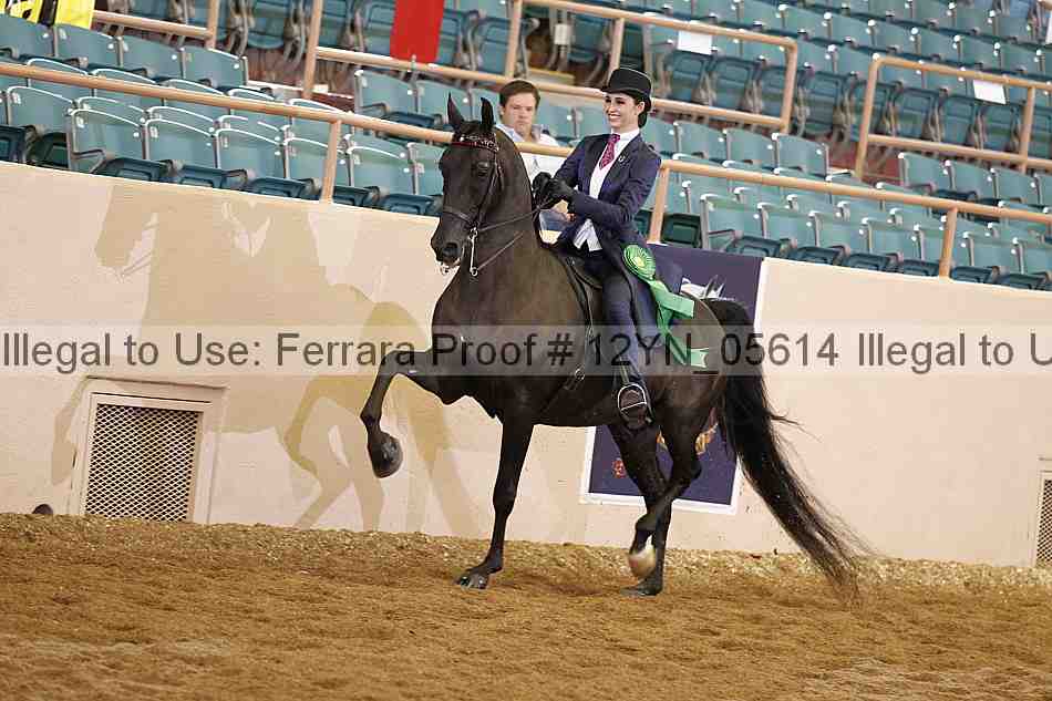 Proof 12yn_05614