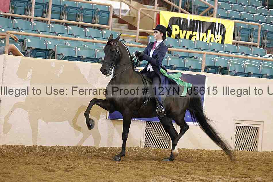 Proof 12yn_05615