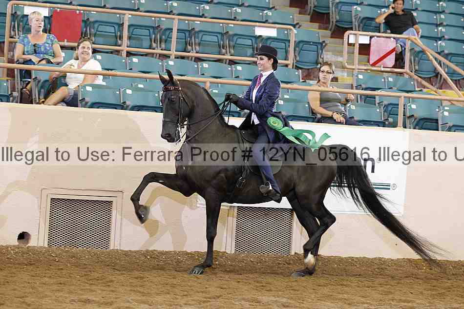 Proof 12yn_05616