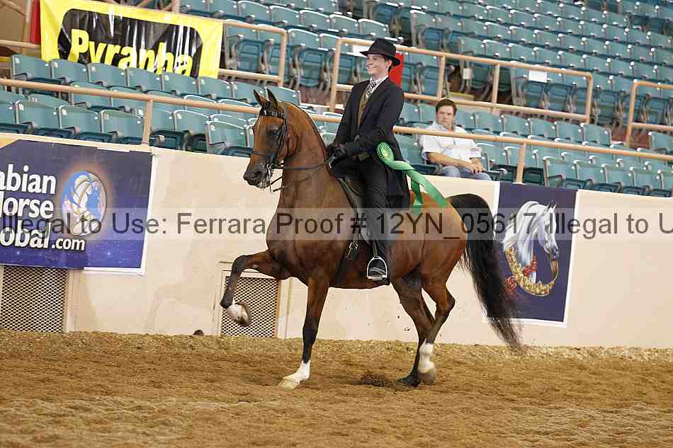 Proof 12yn_05617