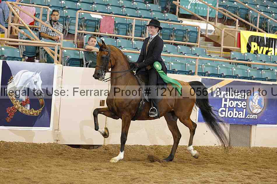 Proof 12yn_05618