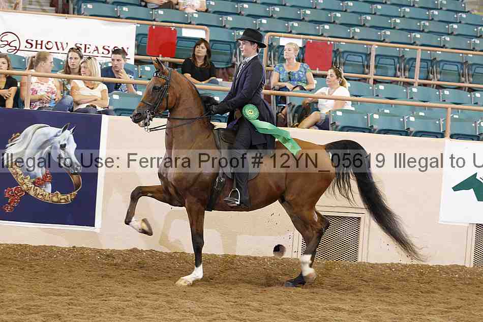 Proof 12yn_05619