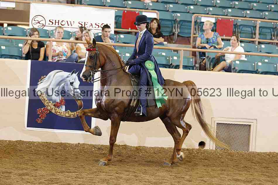 Proof 12yn_05623