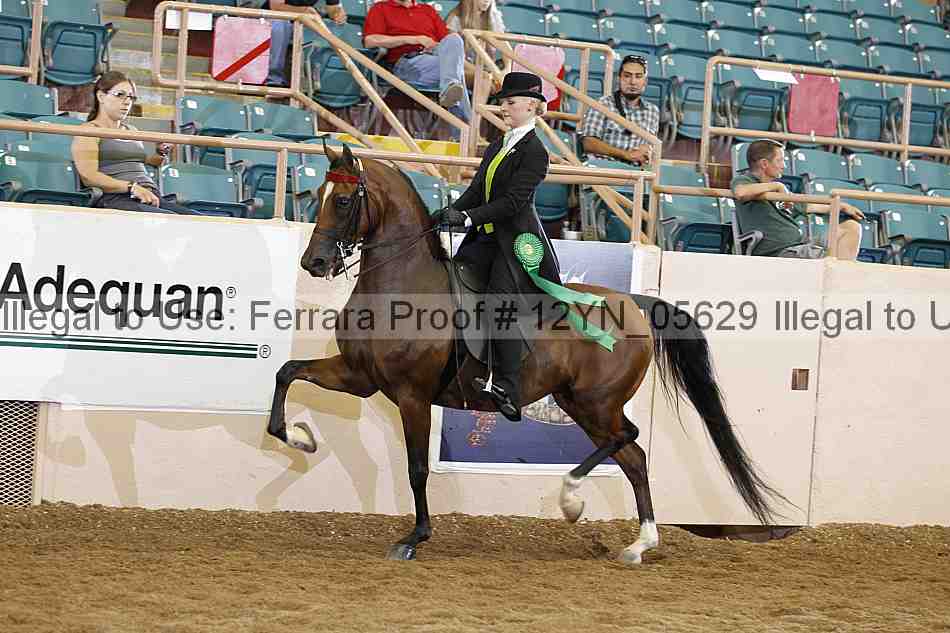 Proof 12yn_05629