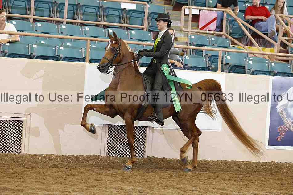 Proof 12yn_05633