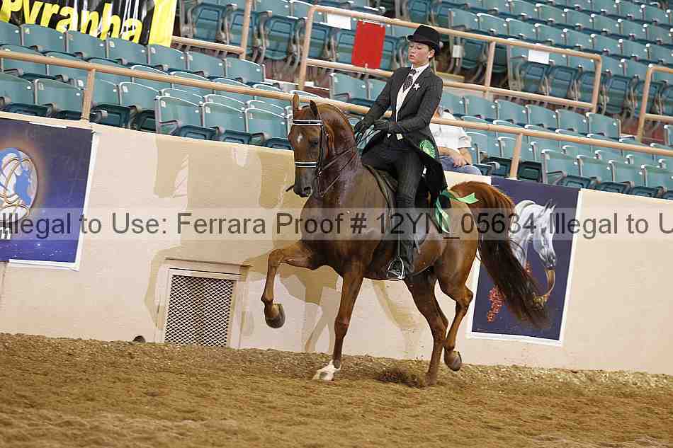 Proof 12yn_05634