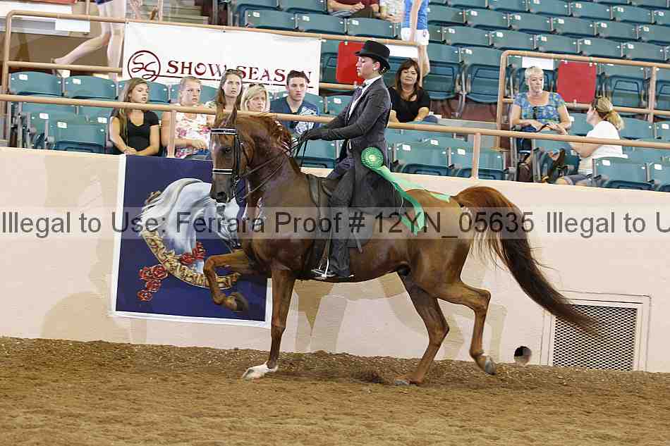 Proof 12yn_05635