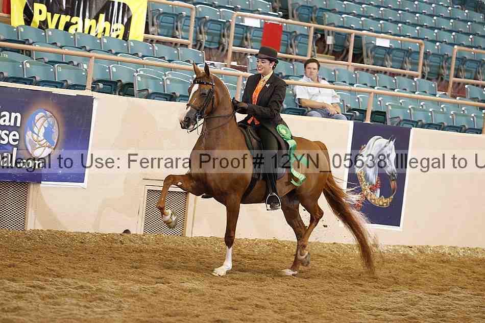 Proof 12yn_05638