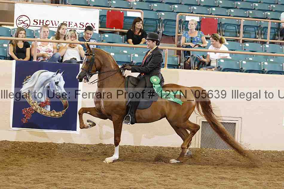 Proof 12yn_05639