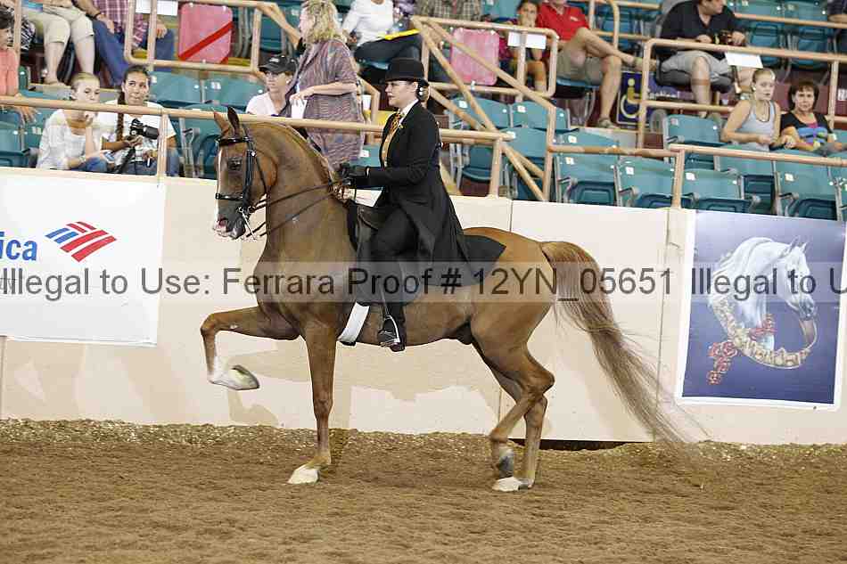 Proof 12yn_05651