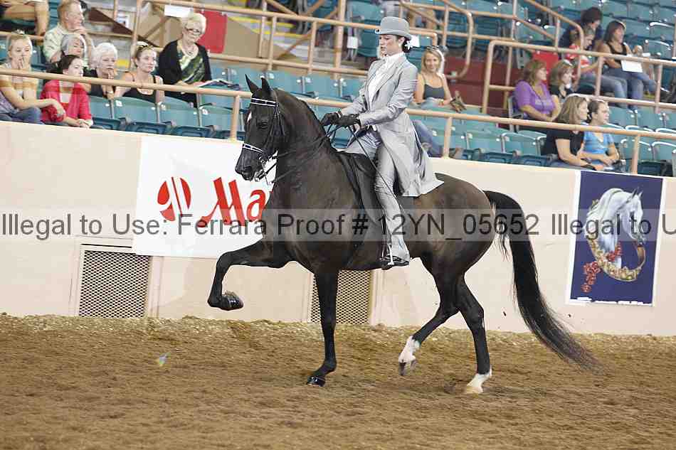 Proof 12yn_05652