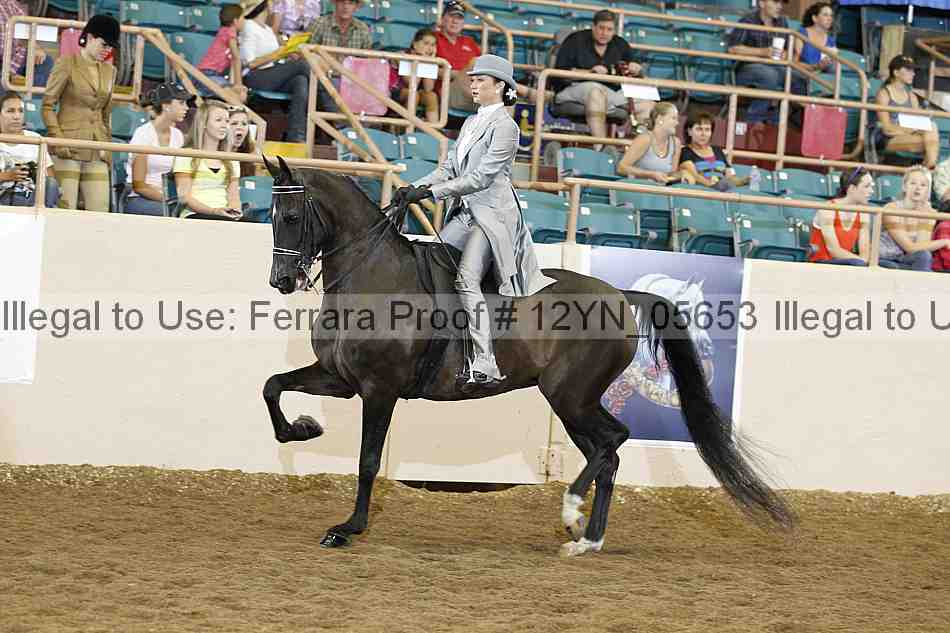 Proof 12yn_05653