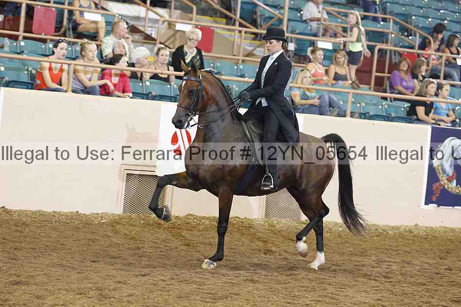 Proof 12yn_05654
