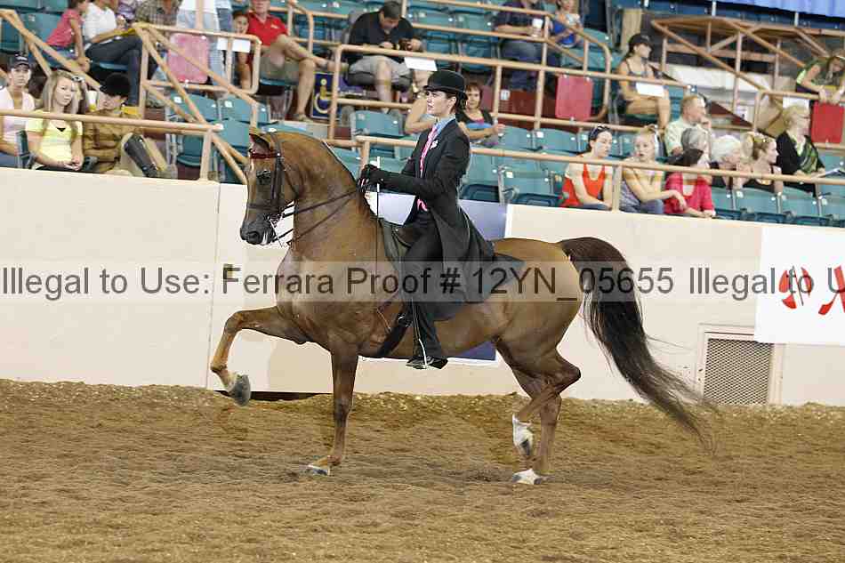 Proof 12yn_05655