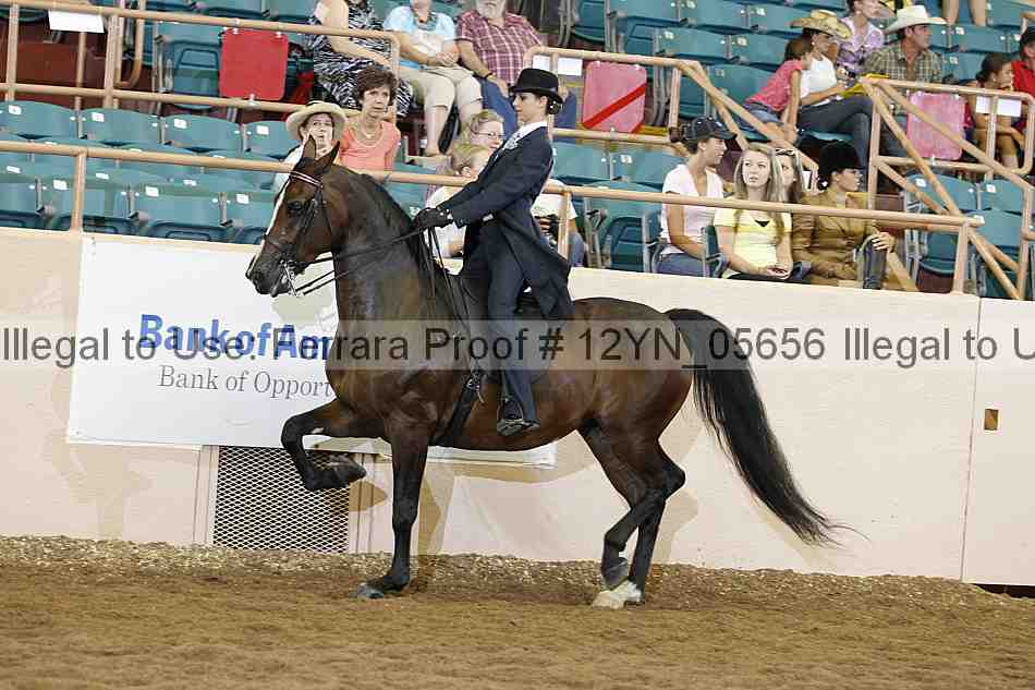 Proof 12yn_05656