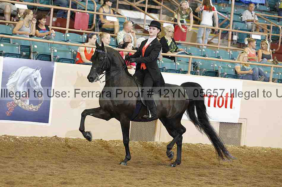 Proof 12yn_05657