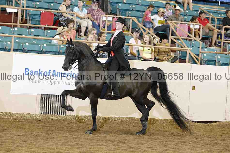 Proof 12yn_05658