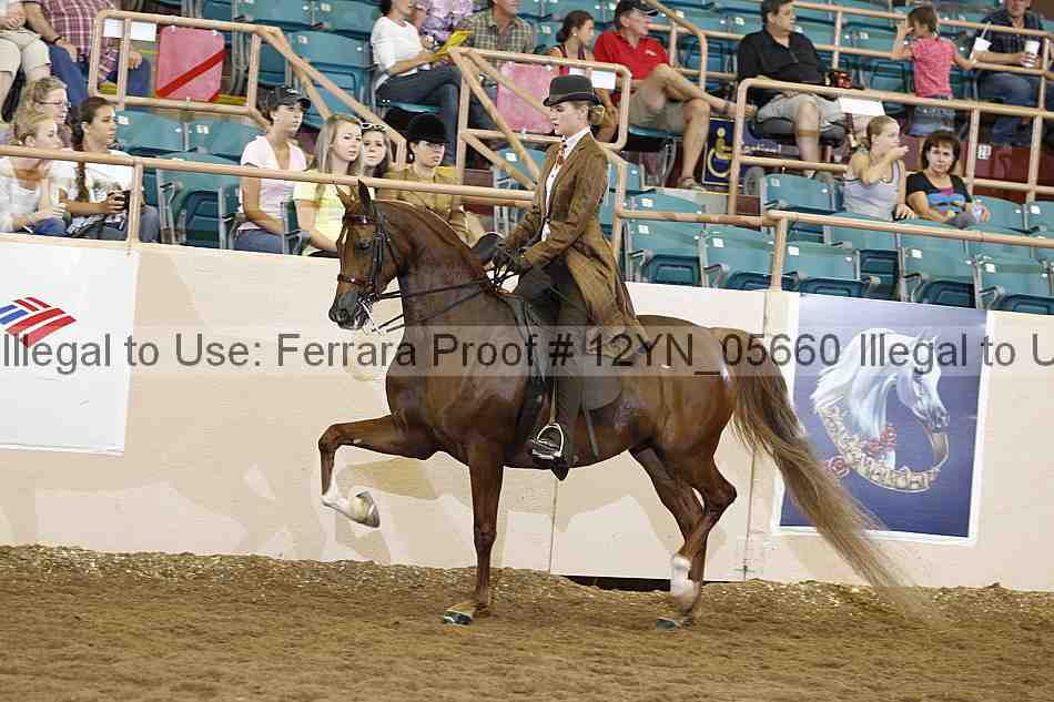 Proof 12yn_05660