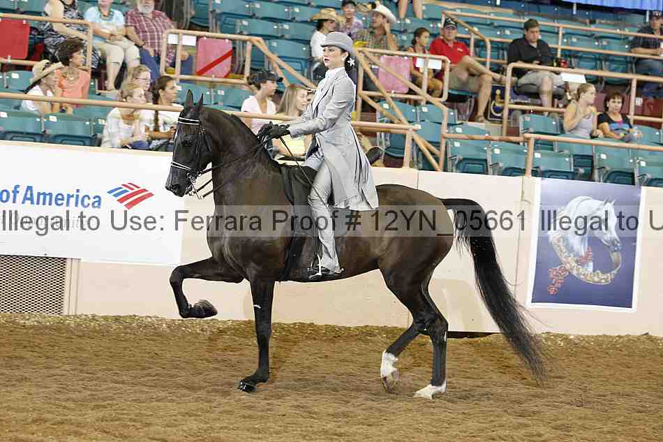 Proof 12yn_05661