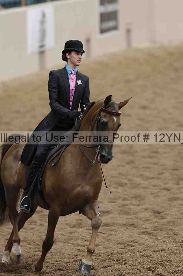 Proof 12yn_05662