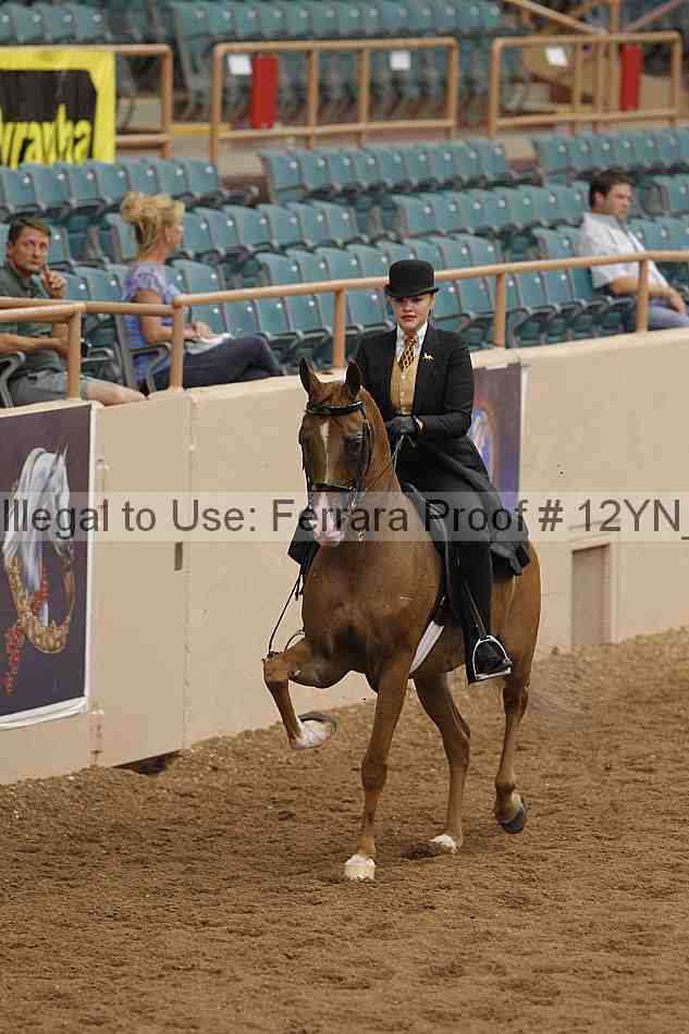 Proof 12yn_05665