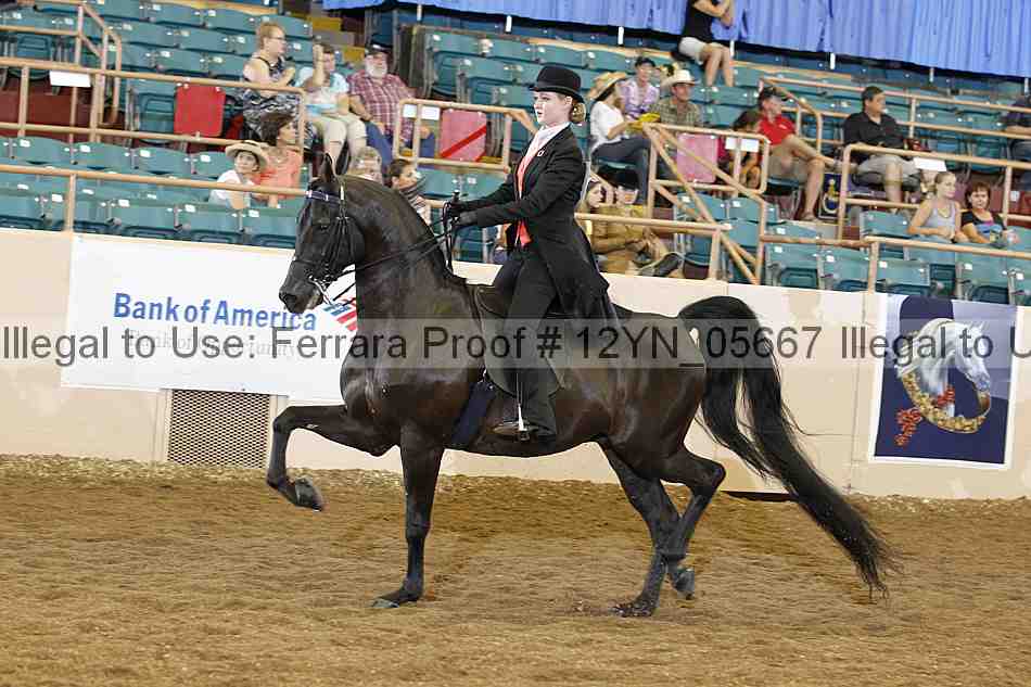 Proof 12yn_05667