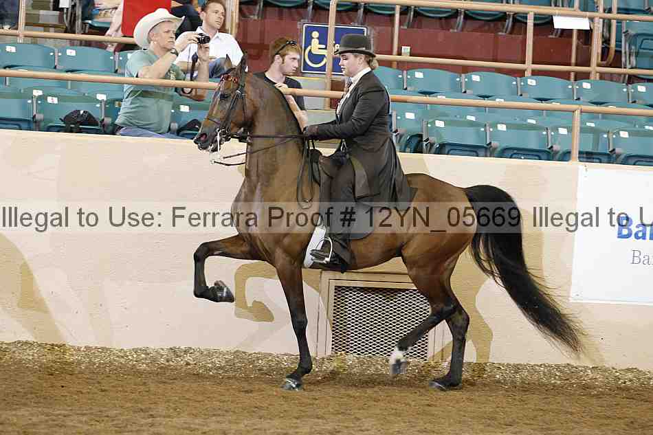 Proof 12yn_05669