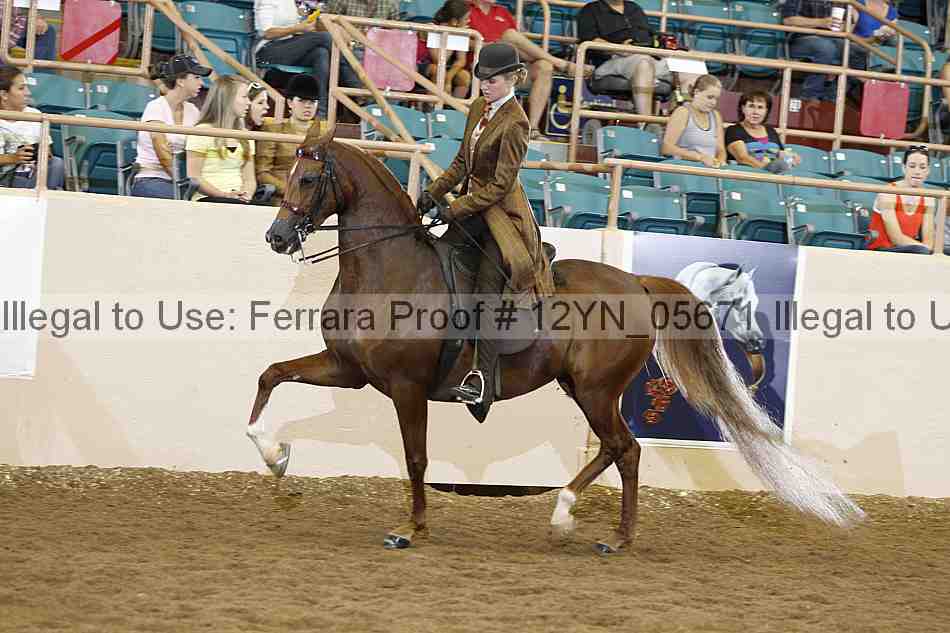 Proof 12yn_05671
