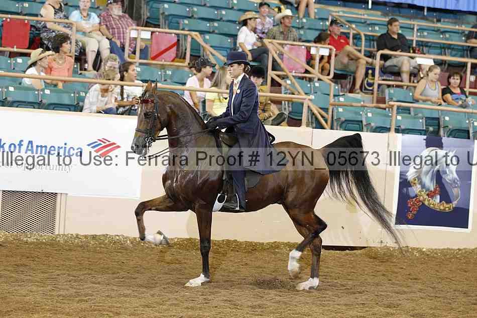 Proof 12yn_05673