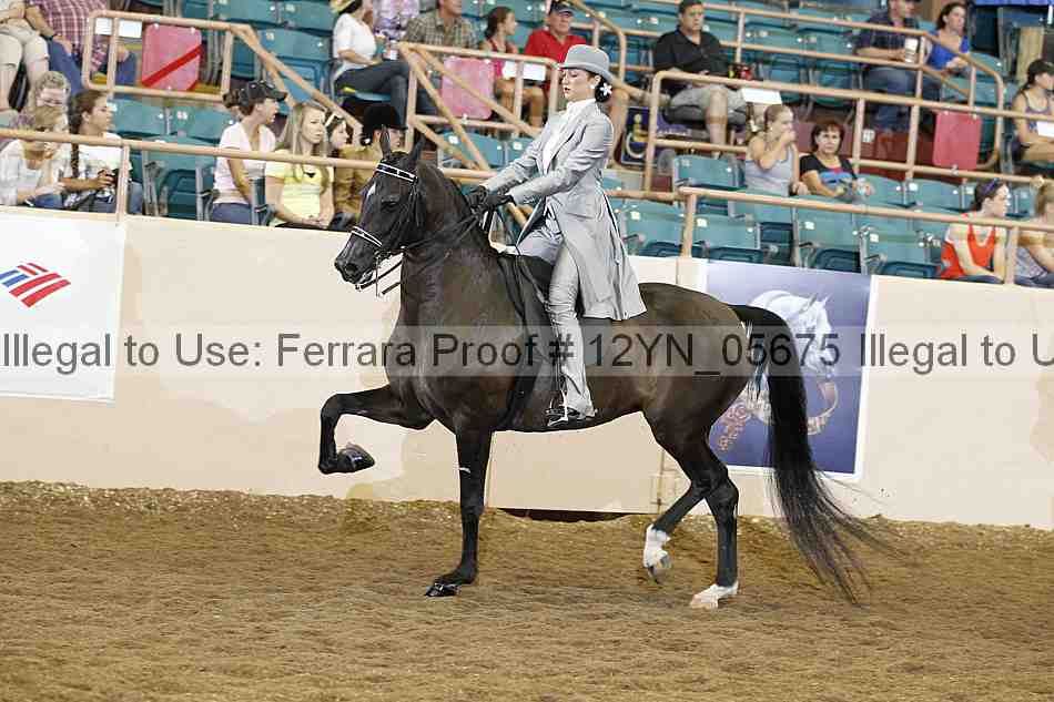 Proof 12yn_05675