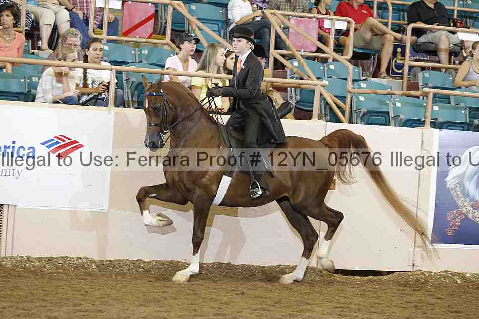 Proof 12yn_05676