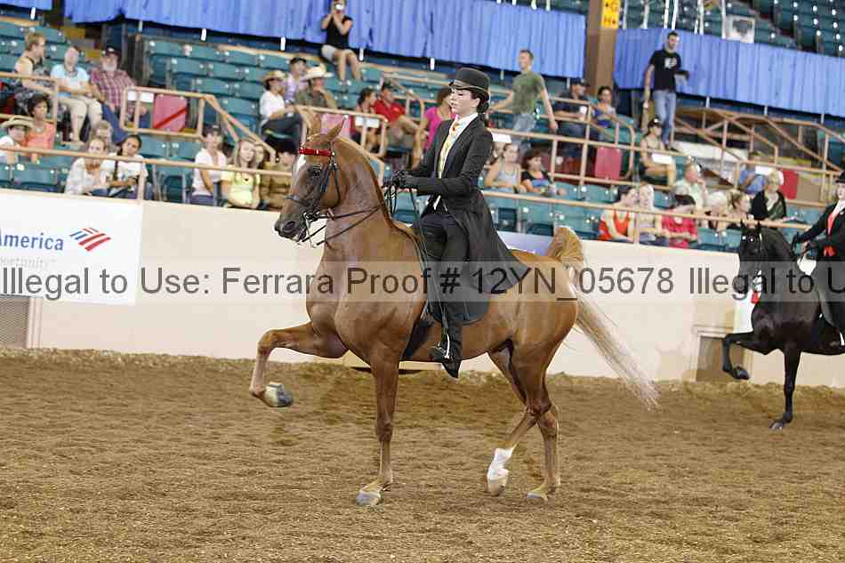Proof 12yn_05678